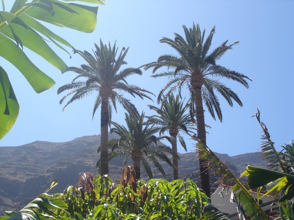Goyo Gomera Apartment Valle Gran Rey